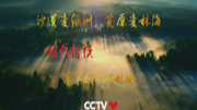 中国农民丰收节感人瞬间6.塞罕坝机械林场