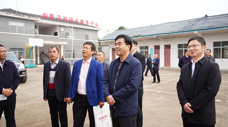 做实林长制，助力乡村振兴 蒲学联带队巡林、督导调研乡村振兴工作