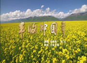 第九批中国梦歌曲16.丰收中国年