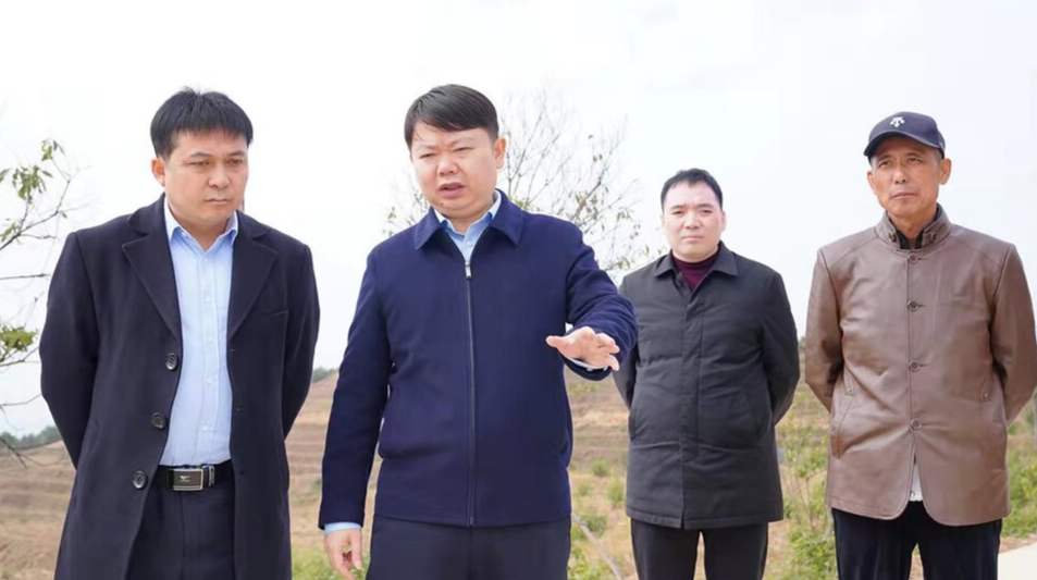梁志平赴沙湾村调研乡村振兴、产业发展、农村人居环境整治等工作