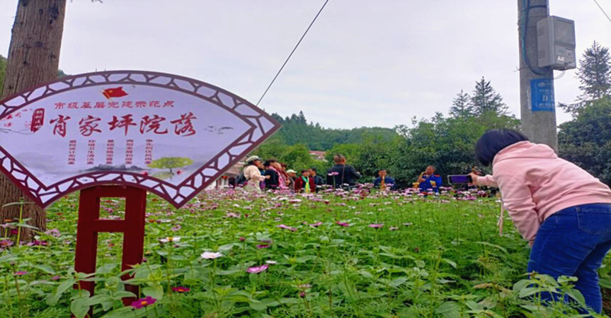 公坪镇：共享人居环境整治带来的“红利”