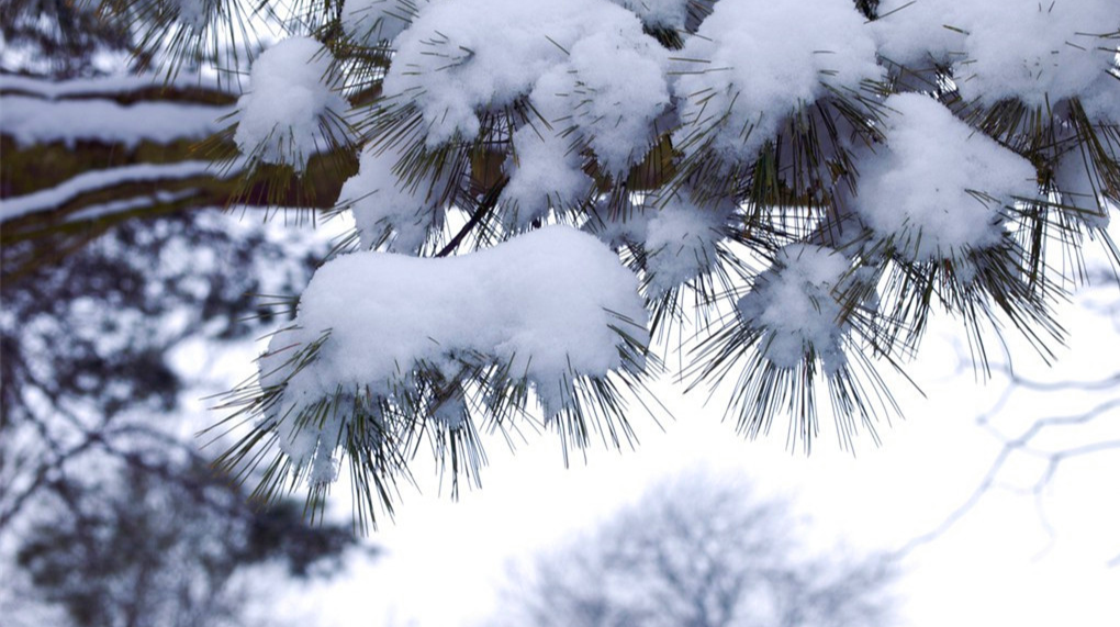 芷江气象局：防范强降温 雨雪天气