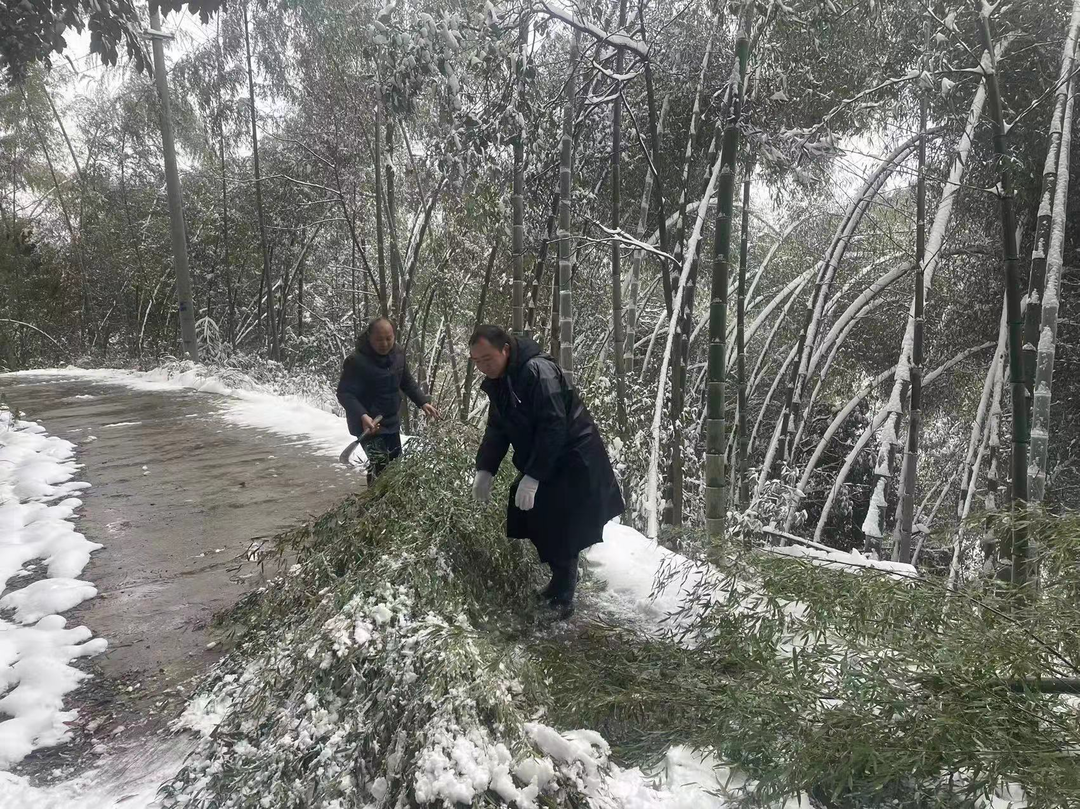 梨溪口乡：风雪无情人有情 干群一心暖人心