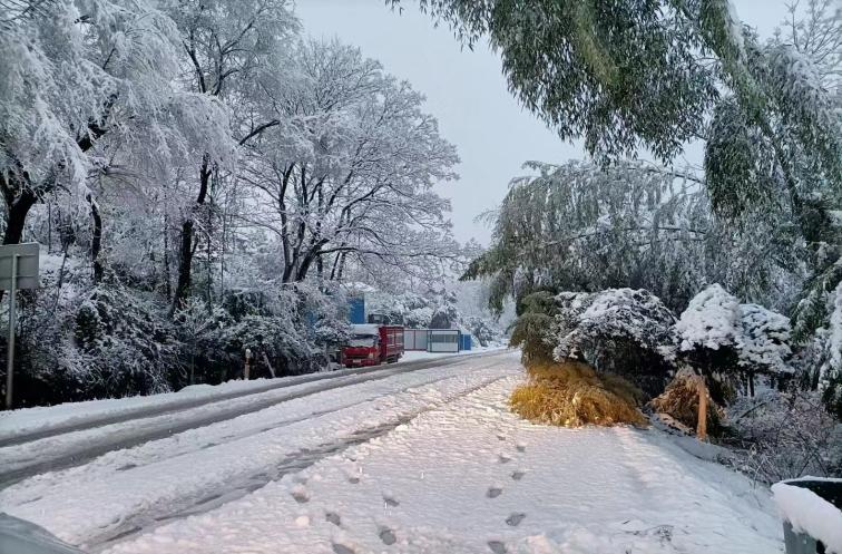 降雪来临 公坪镇积极做好国道畅通保障工作