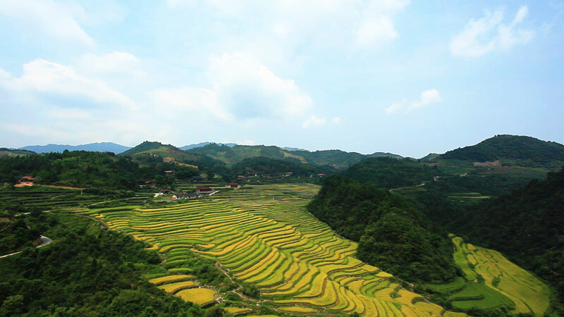 电影《新山乡巨变》将在芷江实地取景