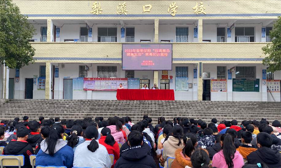 梨溪口乡：禁毒宣传进校园，筑牢青春“防火墙”