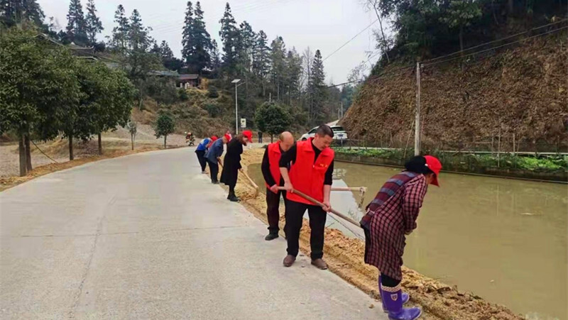 碧涌镇：七甲坪村种花添彩  美丽乡村共建共享