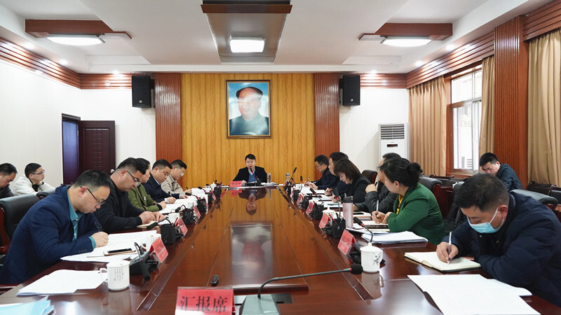 梁志平主持召开重点项目专题调度会