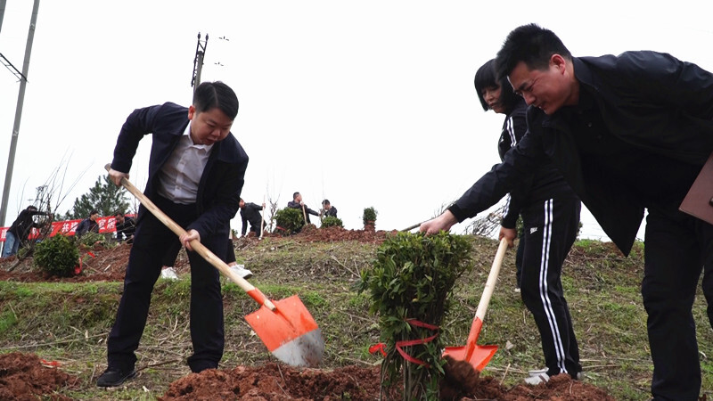 县委书记梁志平等县领导带领党员干部开展义务植树活动