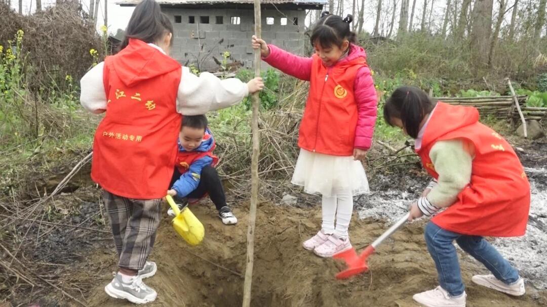 植树布绿正当时丨芷江二幼：“植廉于心、倡廉于行”植树节主题活动
