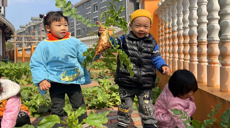 芷江一幼：舌尖上的侗家酸萝卜