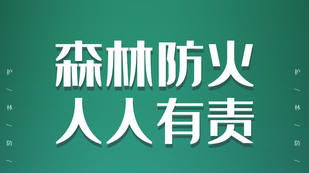 海报|森林防火  人人有责