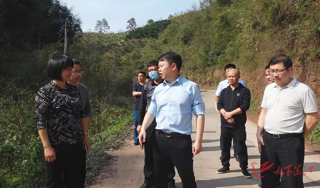 梁志平在楠木坪镇调研时强调：推动南部片区大镇向重镇转变 以一域发展为全县发展添彩