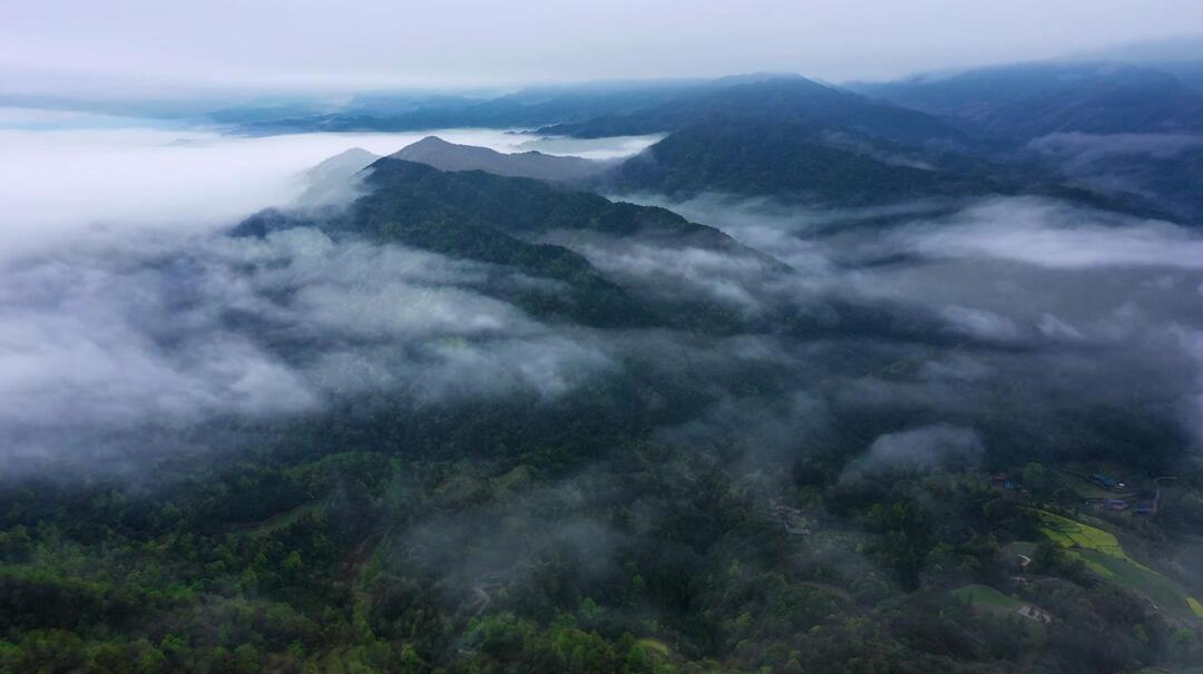 大美芷江丨雨后初晴 明山云海