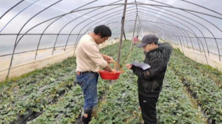 助春耕 促发展 | 罗旧镇：抓住重点促落实，心系农户助销售