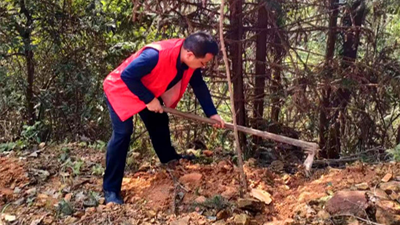 清廉芷江建设 | 三道坑镇：种“廉洁树”，育“清风林”
