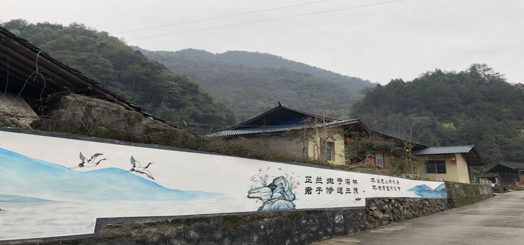清廉芷江建设 | 三道坑镇：“美家美院”助清爽，“清廉村居”促和谐