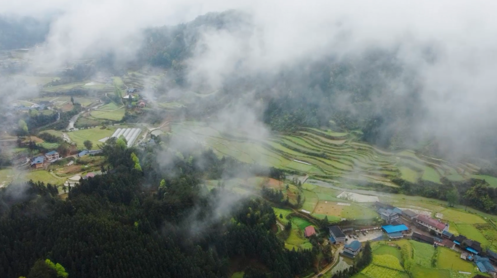 大美芷江丨春雨过后 芷江各地云雾缭绕 秀美乡村入画