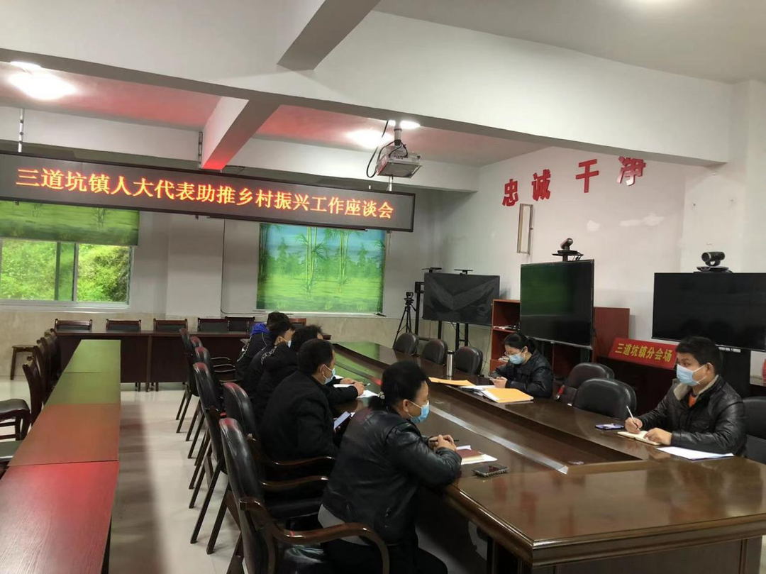 建言献策谋发展，乡村振兴添动力