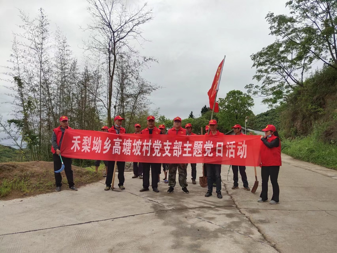 禾梨坳乡高塘坡村开展人居环境整治主题党日活动