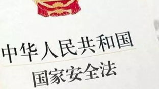 国家安全法第二集