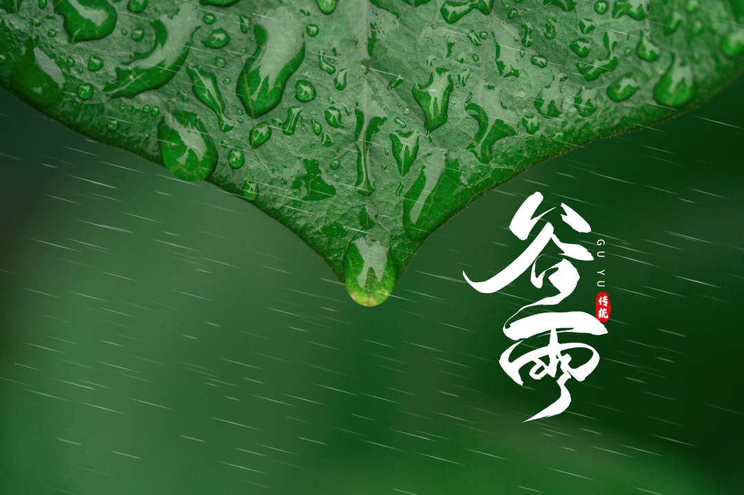 今日谷雨|雨生百谷,静待丰收