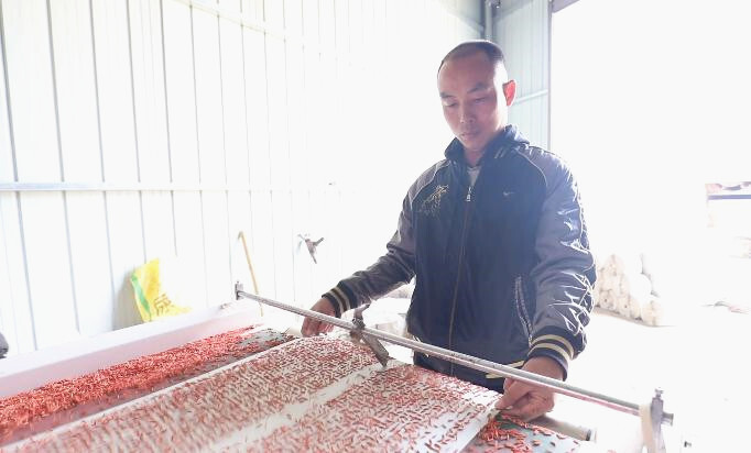 芷江绿叶农机合作社：打印布种 开启育秧新模式