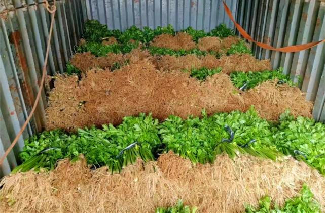 县供销联社：发挥供销渠道作用 助推农产品销售