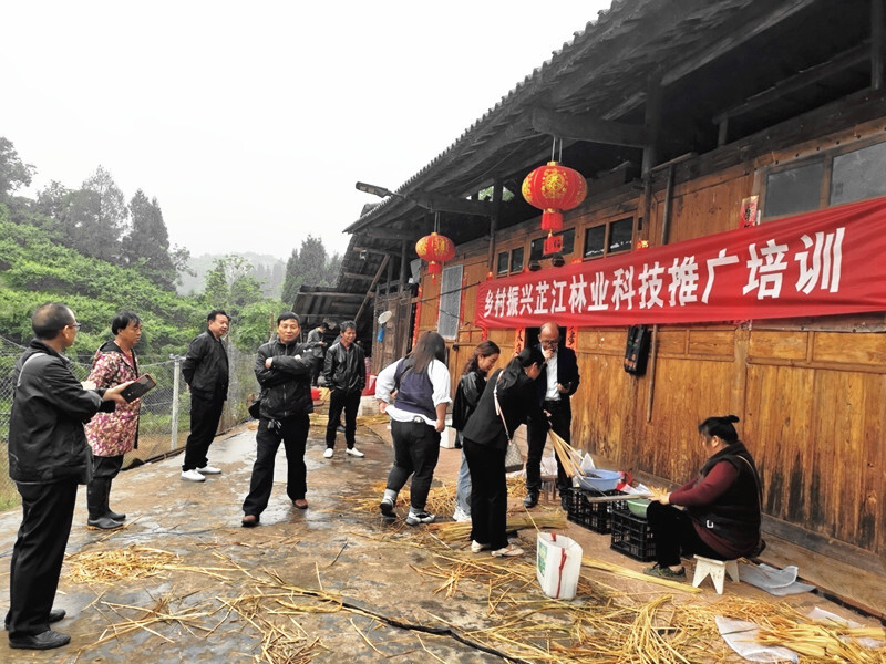 “今天算是学到了”：芷江林业科技下乡有实招