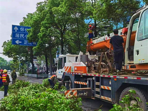 芷江公路建设养护中心修剪路树护畅安