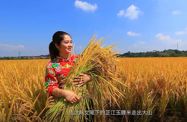 视频 | 向海华：千丘田里耕耘梦想