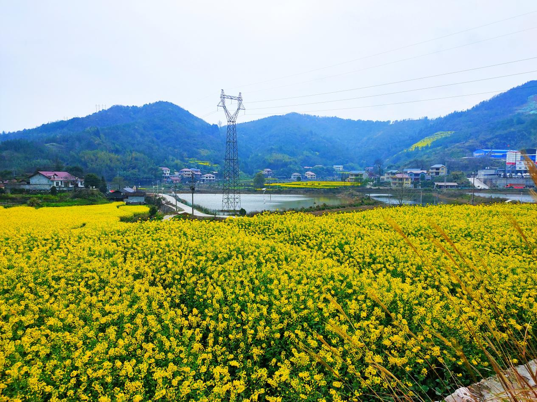 清廉芷江建设 | 公坪镇：以人居环境为“笔”，绘就清廉建设美好蓝图