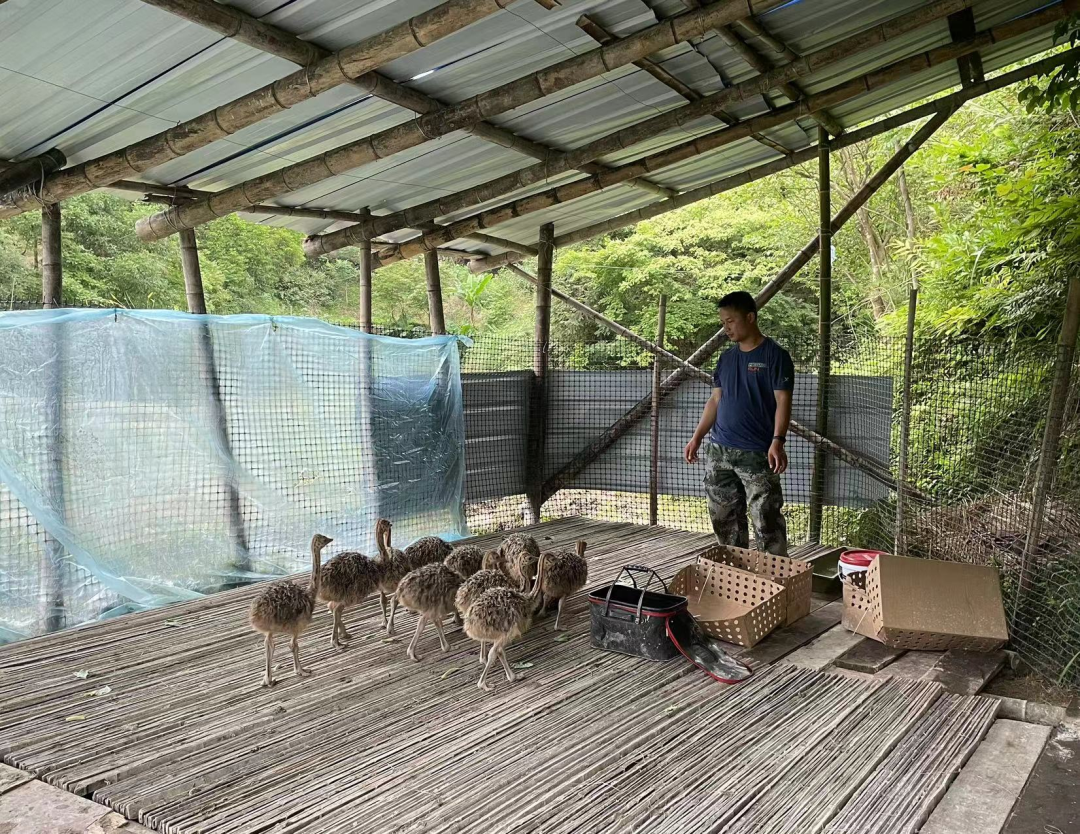 小山村里来了稀罕物