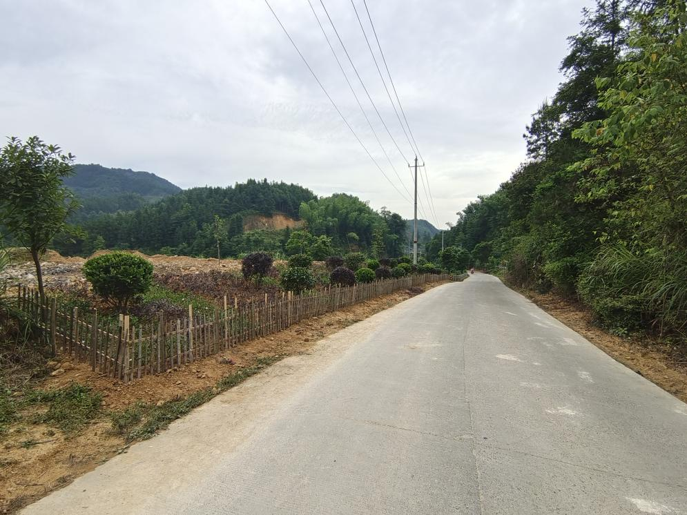 碧涌镇七甲坪村：开展裸露泥土复绿 深入推进人居环境整治