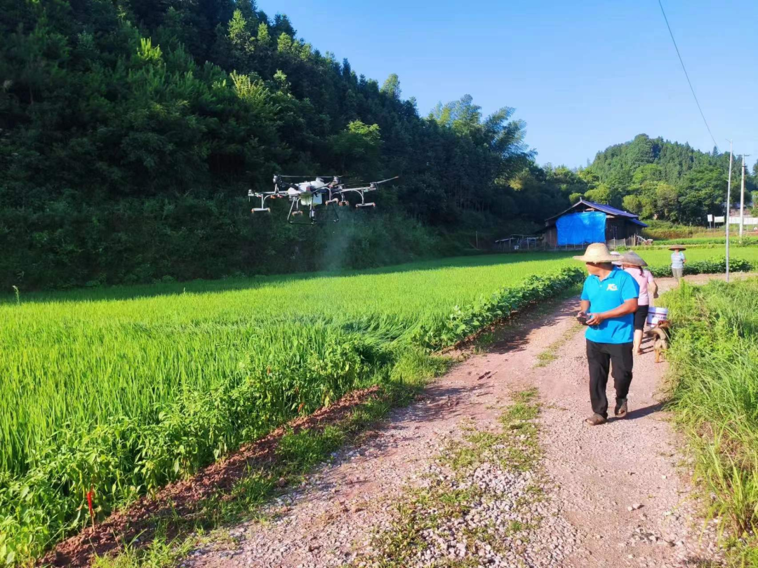 水宽乡：志愿者守护希望的田野