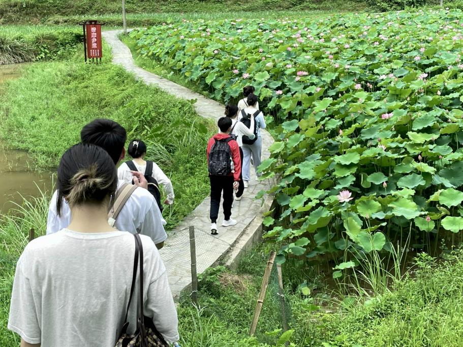 中南林业科技大学经济学院“同行廉村述廉，共建美好家园”活动实践团实地考察小渔溪村清廉建设