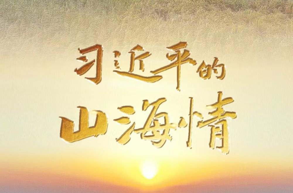 习近平的山海情