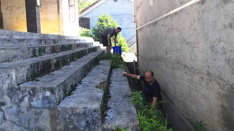 梨溪口乡：干部群众齐上阵 鼓足干劲美家园