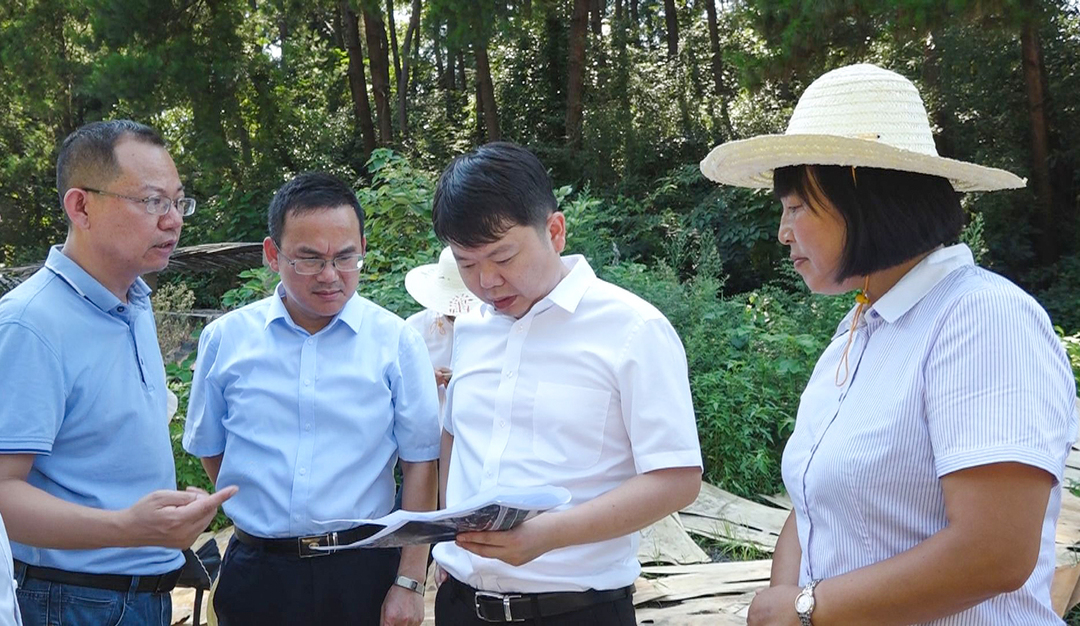 梁志平：坚定发展信心 全力推进重点项目又好又快建设