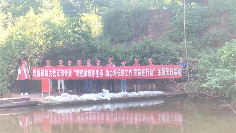 岩桥镇：增殖放流护生态 助力河长制工作 党员在行动