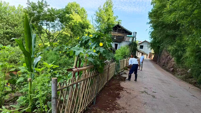 楠木坪镇：以“小积分”汇“大能量”