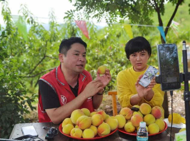 志愿者直播带货 “黄桃节”助农增收