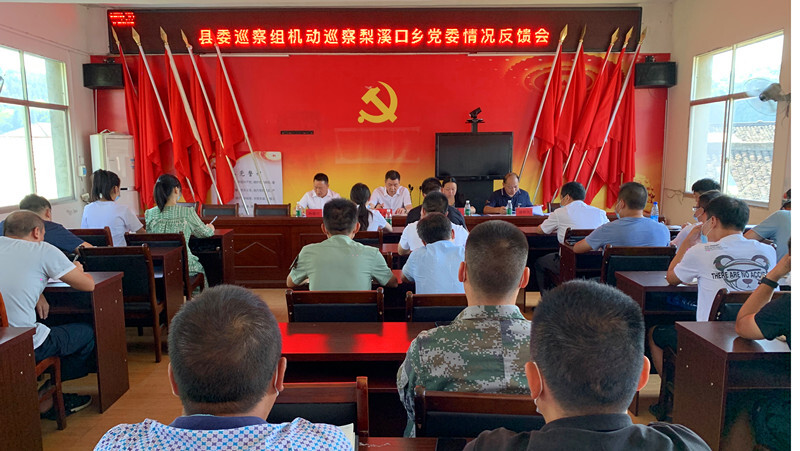 县委巡察组机动巡察梨溪口乡党委情况反馈会召开
