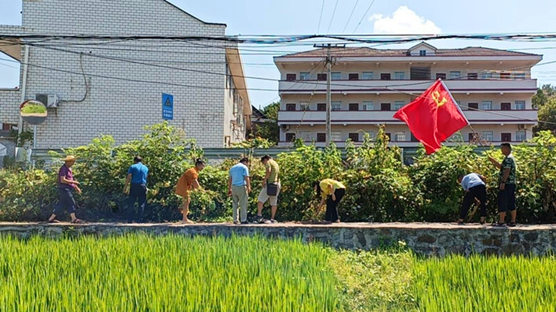 抗旱进行时丨芷江各单位抗旱保丰收出实招