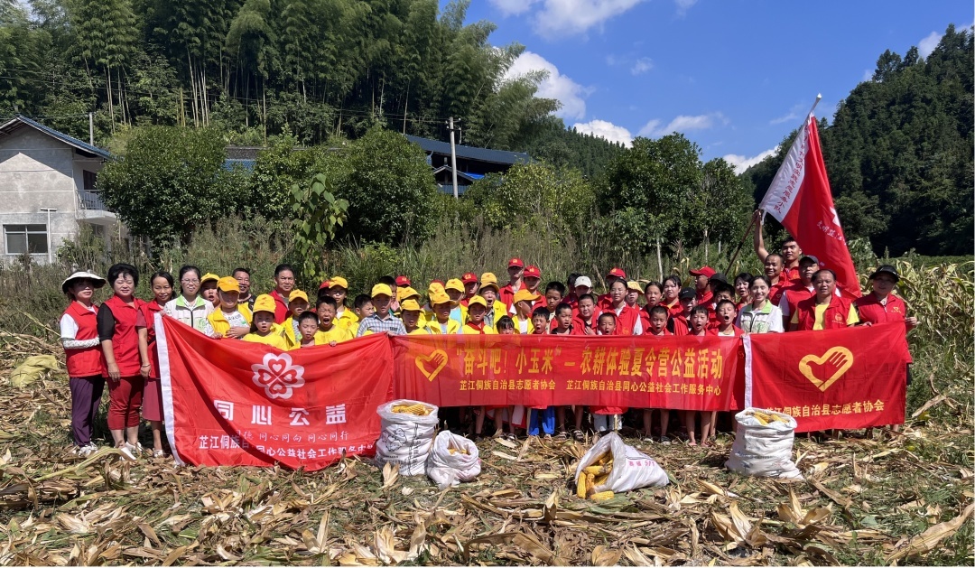 芷江：学生志愿者开展农耕体验夏令营活动