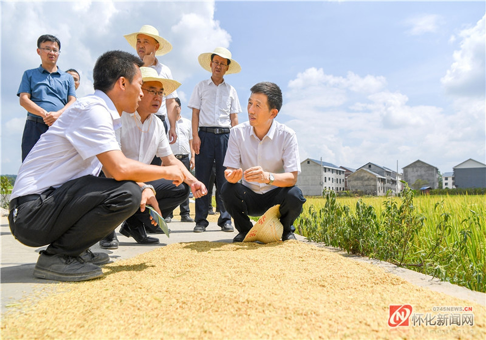 许忠建在会同芷江调研指导抗旱救灾工作