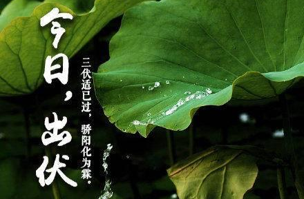 今天出伏！“加长版三伏”终于结束啦