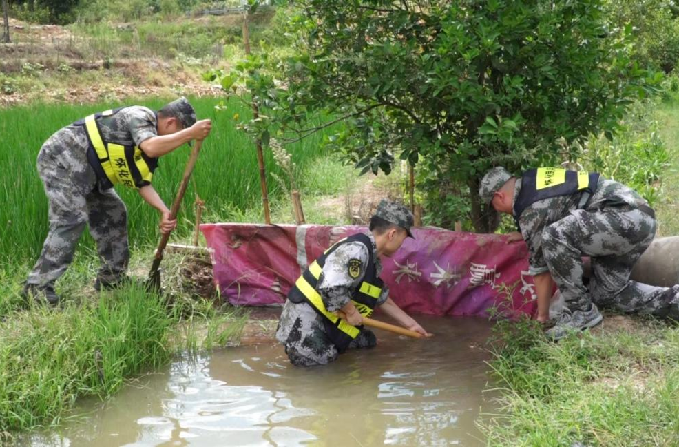 芷江：民兵在一线  抗旱保民生