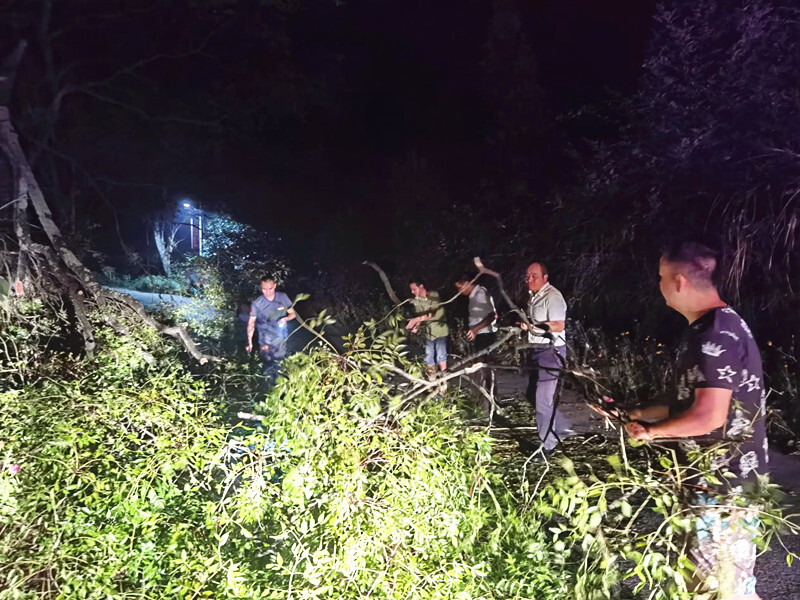 洞下场乡楠木冲村：及时清理公路倒树 保障道路安全畅通