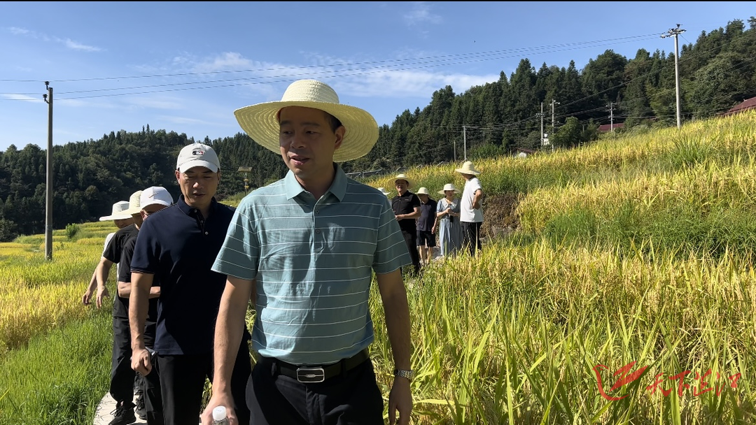 高源江赴牛牯坪乡调研千丘田第二届“丰收节”活动筹备工作